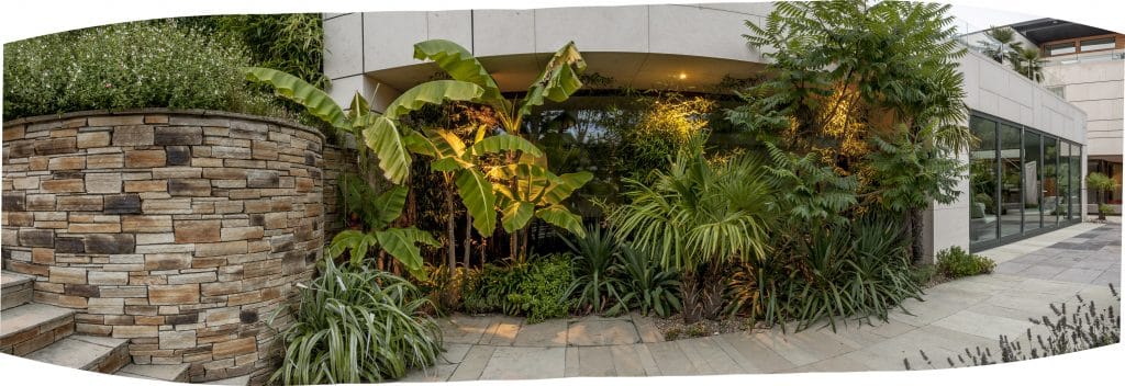 Lush patio terrace In south Dublin