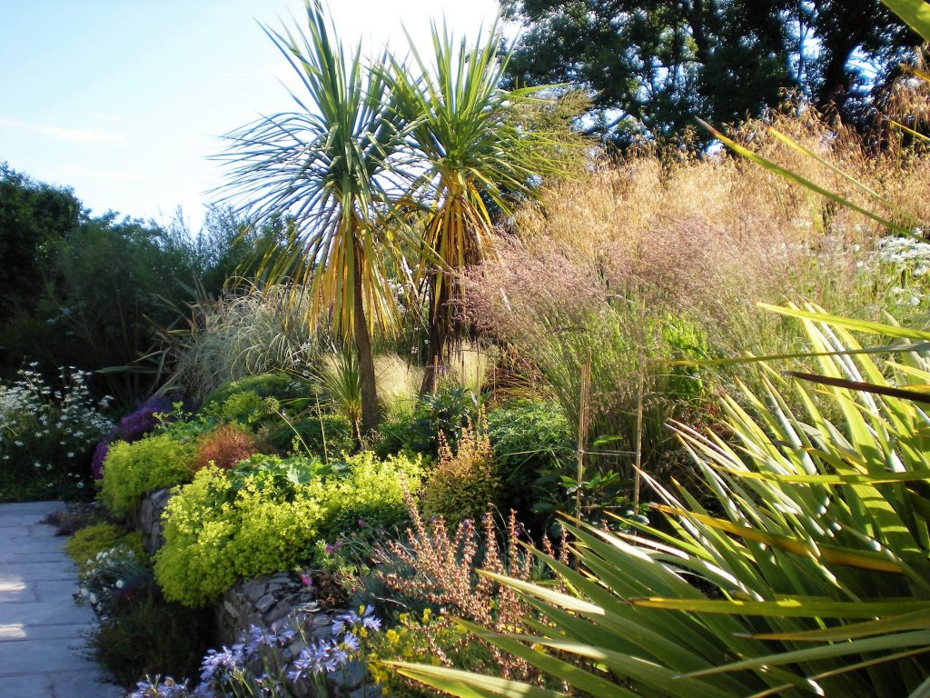 Wexford seaside garden