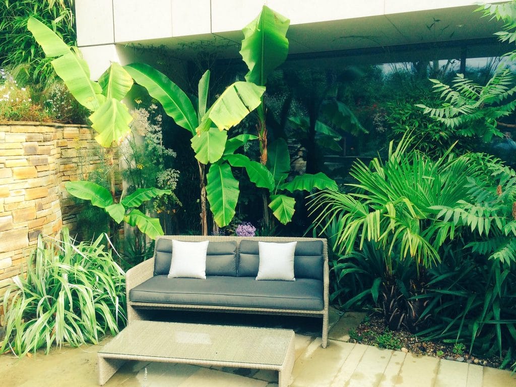 Unique tropical space