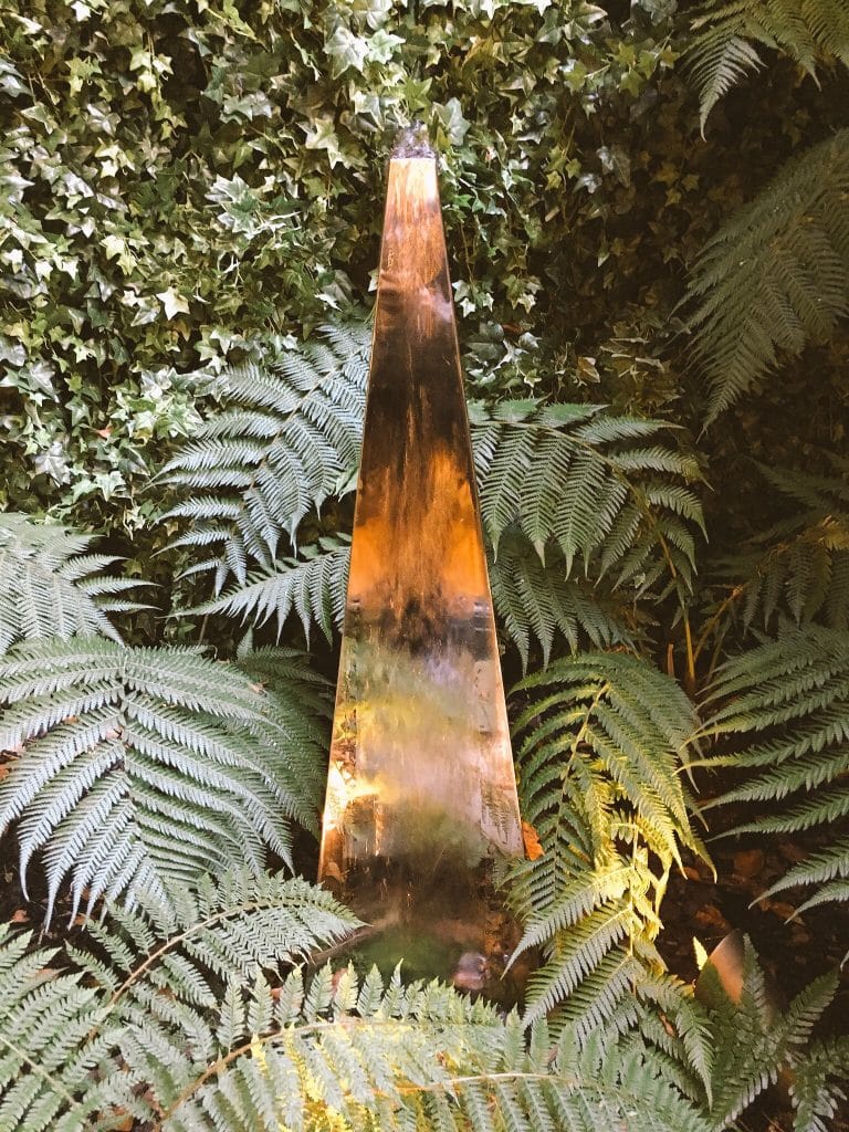 Basement garden in Dublin