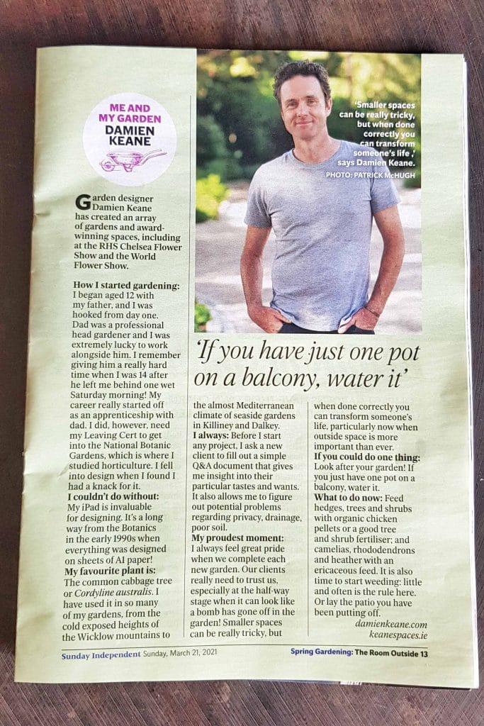 Sunday Independent Article 3