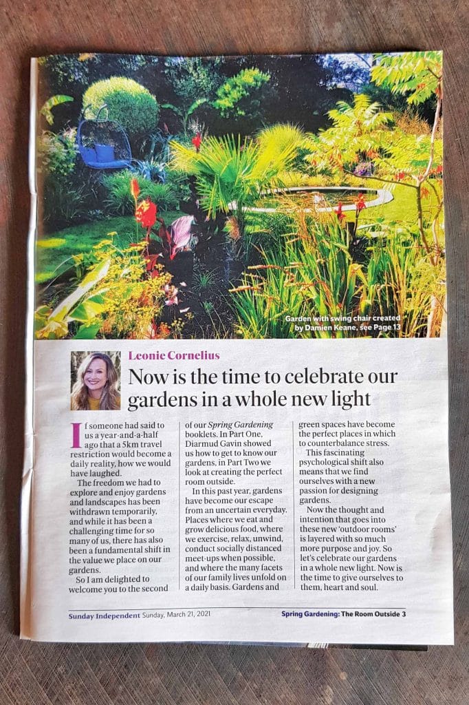 Sunday Independent Article 2