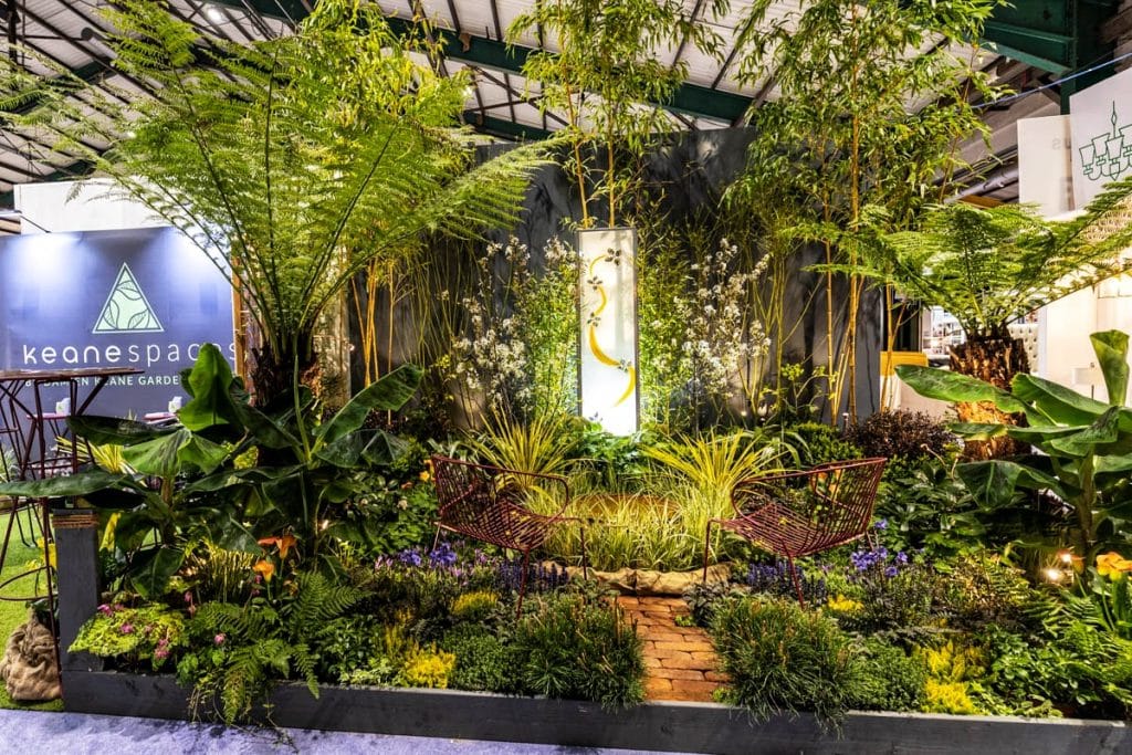 Irish Times Article – April 2019