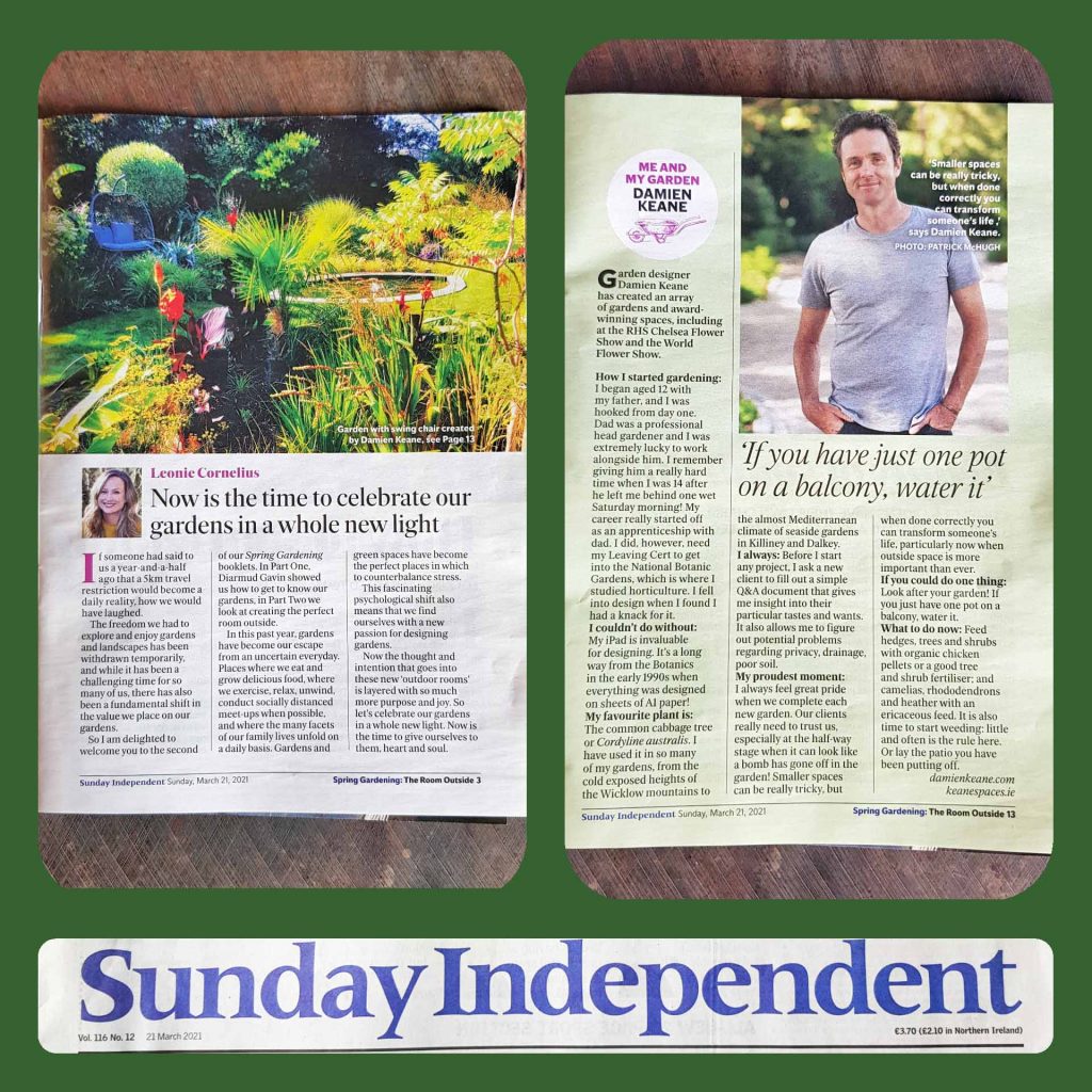Sunday Independent Article 1