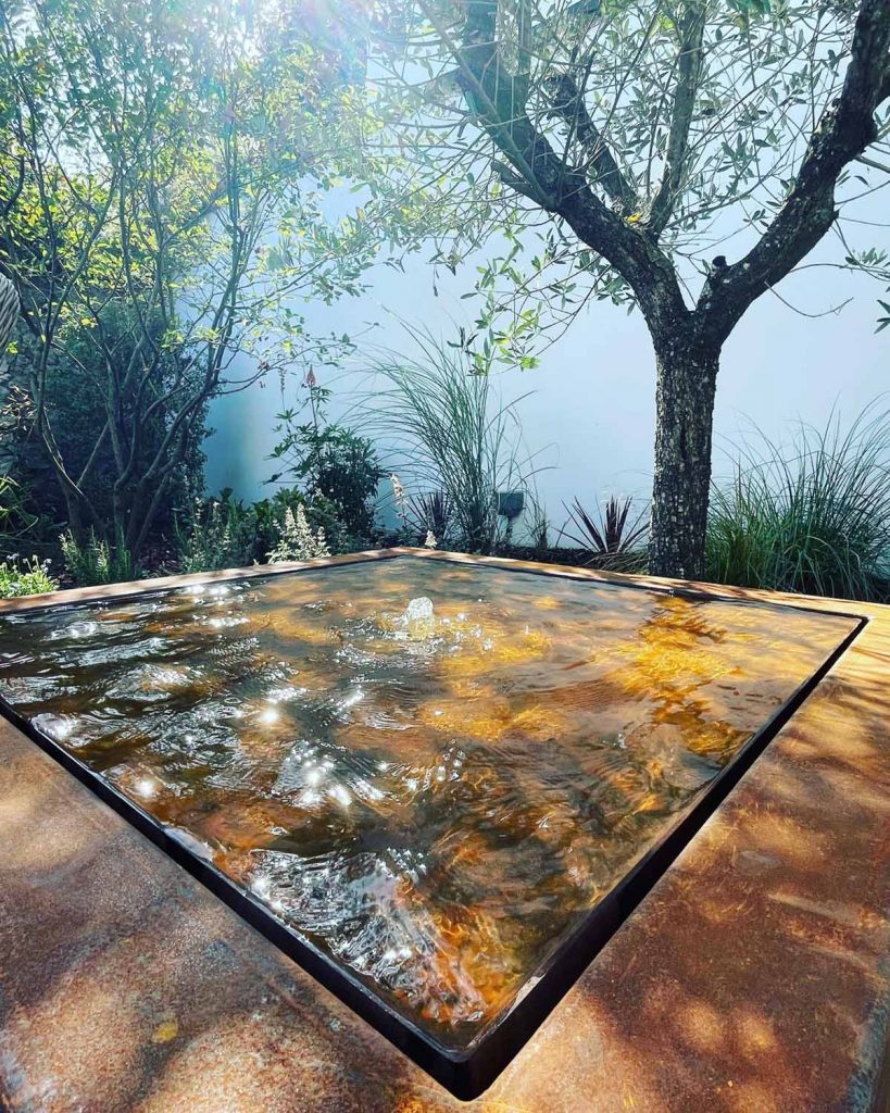 Water Table Under Olive