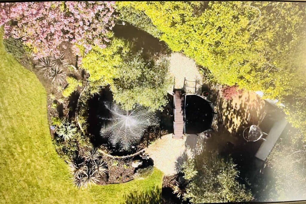 RTE – Selling Irelands Dream Homes